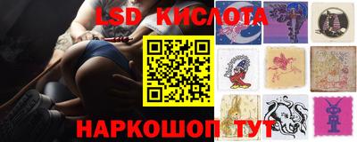 гашик Кудрово