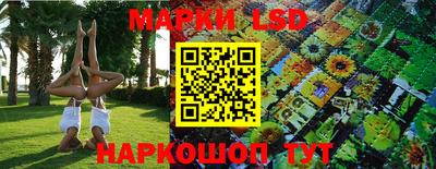 гашик Кудрово