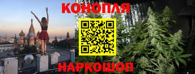 гашик Кудрово
