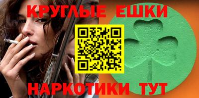 гашик Кудрово