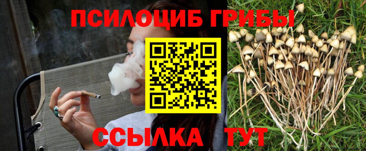 Беслан  Галлюциногенные грибы Psilocybine cubensis  Вход с VPN 