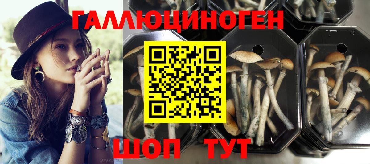 Галлюциногенные грибы ЛСД Беслан